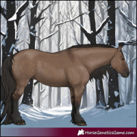 Horse Color:Liver Red Dun Rabicano 