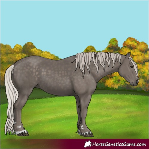 Horse Color:Silver Black 