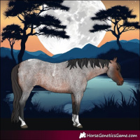 Horse Color:Bay Roan Tobiano 