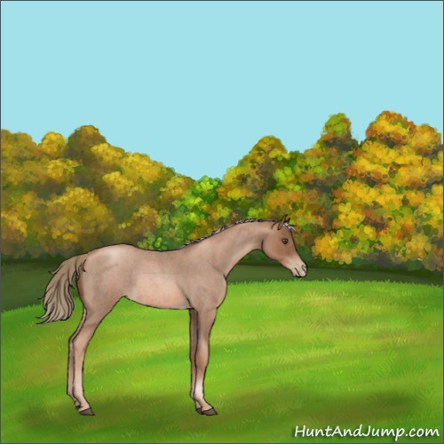 Horse Color:Liver Red Roan Pearl Rabicano 