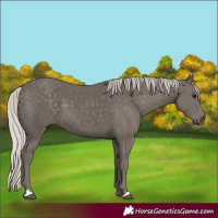 Horse Color:Silver Black 