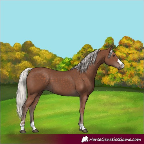 Horse Color:Silver Black 