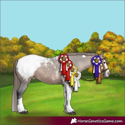 Horse Color:Brown Dun Splash Tobiano Appaloosa 