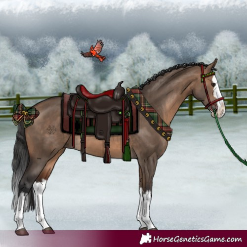 Horse Color:Brown Dun Splash 