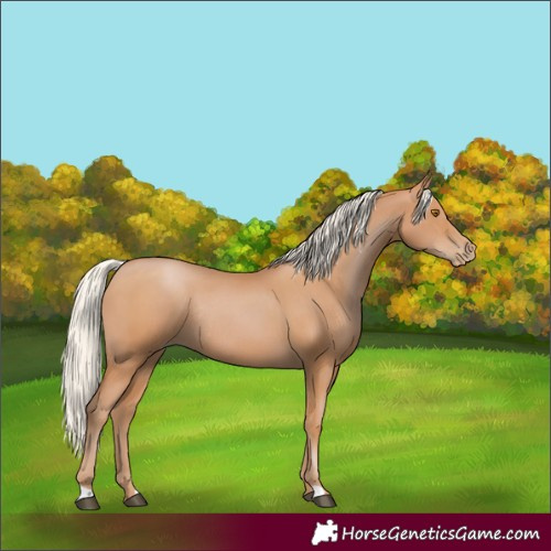 Horse Color:Silver Black Pearl Rabicano 