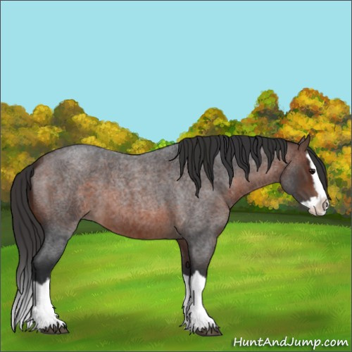 Horse Color:Brown Roan Splash 