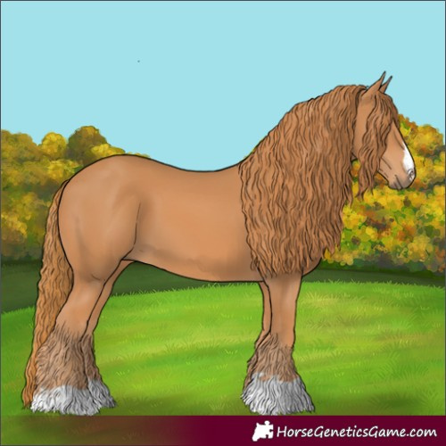 Horse Color:Chestnut 