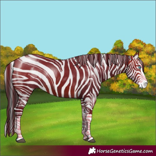 Horse Color:Brown Splash