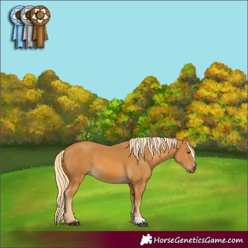 Horse Color:Palomino 