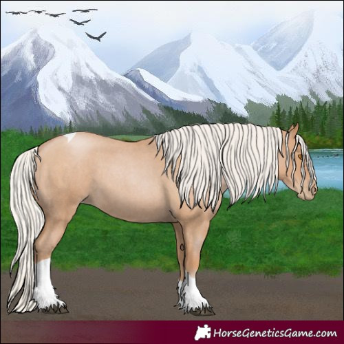 Horse Color:Silver Blue Roan Pearl Tobiano