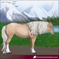 Horse Color:Silver Blue Roan Pearl Tobiano 