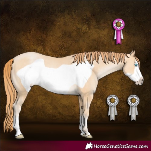 Horse Color:Buckskin Pearl Frame 