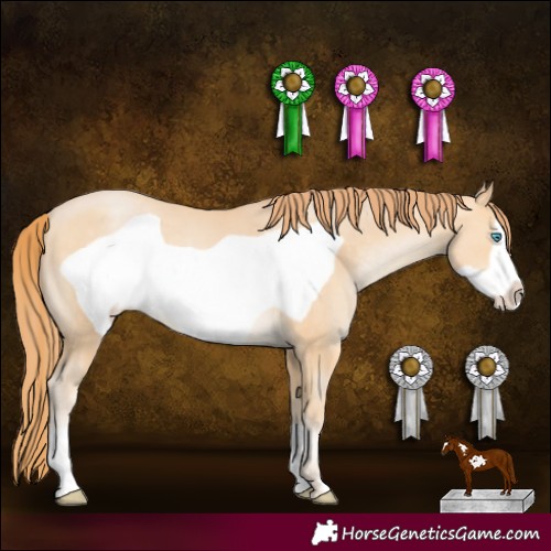 Horse Color:Buckskin Pearl Frame 