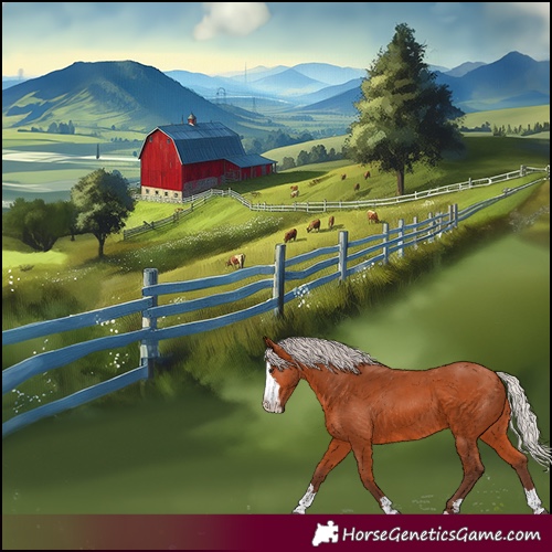 Horse Color:Silver Bay 