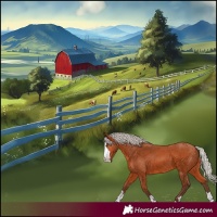 Horse Color:Silver Bay 