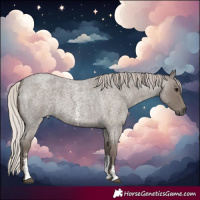 Horse Color:Silver Blue Roan Sabino