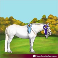 Horse Color:Gold Cream Champagne Roan Sabino Splash Frame Rabicano