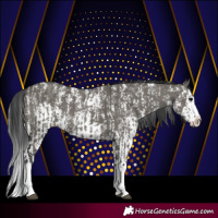Horse Color:Grullo Sabino Splash  and Grullo Sabino Splash 