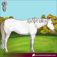 Horse Color:Buckskin Pearl Dun Splash Tobiano Appaloosa 