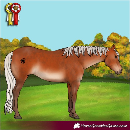 Horse Color:Silver Bay 