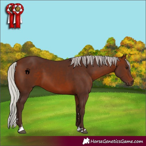 Horse Color:Silver Brown 