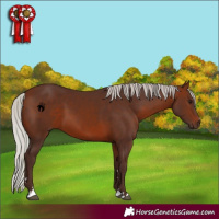 Horse Color:Silver Brown 