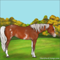 Horse Color:White Spotted Silver Bay Splash 