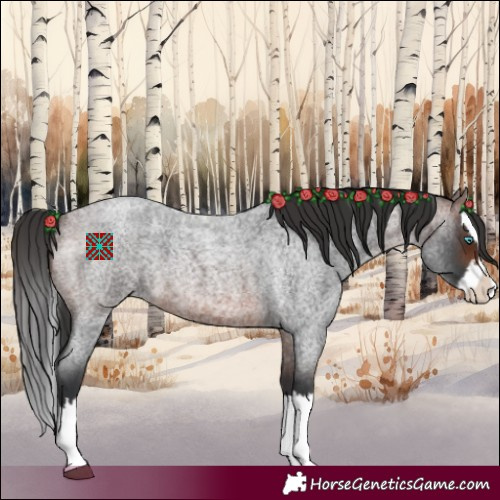 Horse Color:Brown Roan Splash 