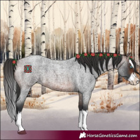 Horse Color:Brown Roan Splash