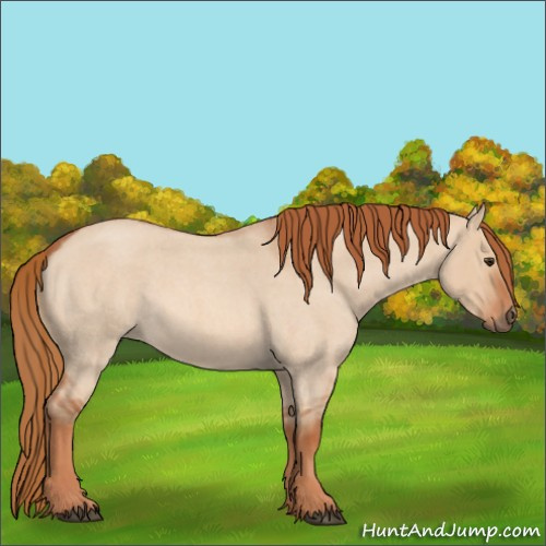 Horse Color:Red Dun Roan 