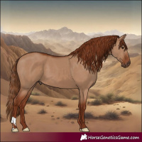 Horse Color:Red Dun 