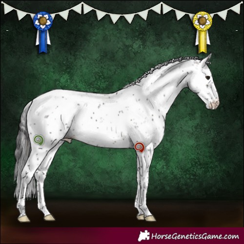 Horse Color:Smoky Grullo Sabino 