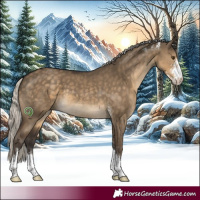 Horse Color:Silver Smoky Grullo Sabino 