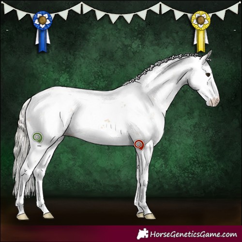 Horse Color:Silver Buckskin Dun Sabino 