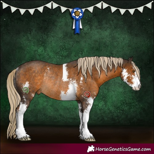 Horse Color:Chocolate Palomino Sabino Rabicano 