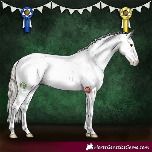 Horse Color:Silver Buckskin Dun Sabino 