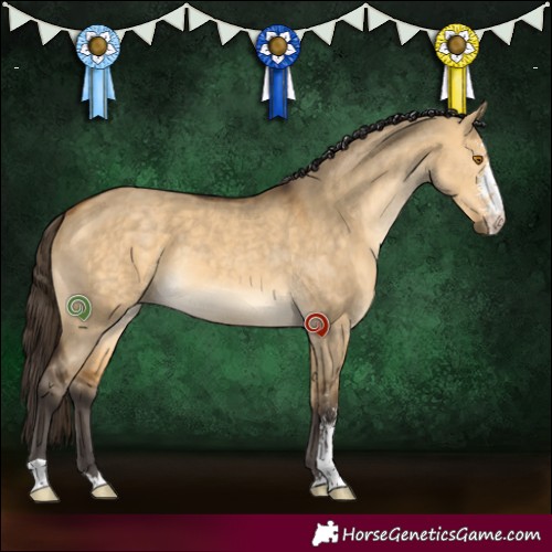 Horse Color:Buckskin Dun Sabino 