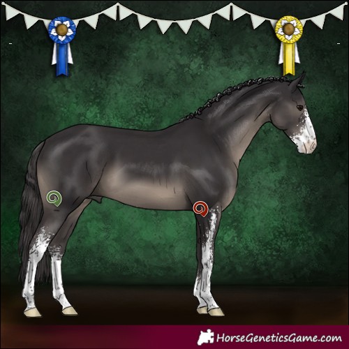 Horse Color:Smoky Black Sabino 