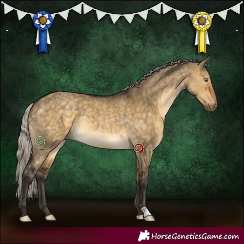 Horse Color:Silver Buckskin Dun Rabicano 