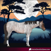 Horse Color:Bay Roan Tobiano