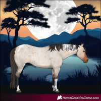 Horse Color:Bay Roan Dun Tobiano 