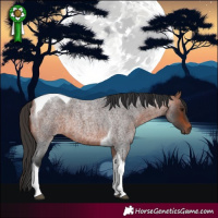 Horse Color:Bay Roan Tobiano