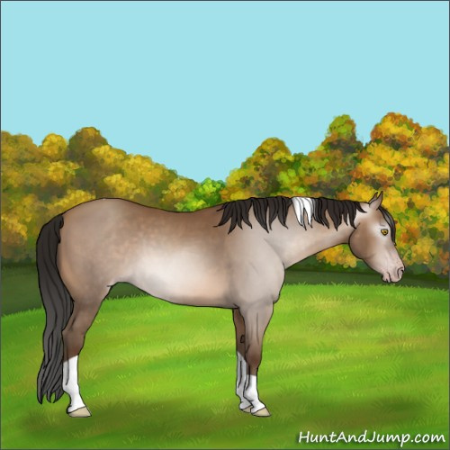 Horse Color:Gray Amber Champagne Tobiano 