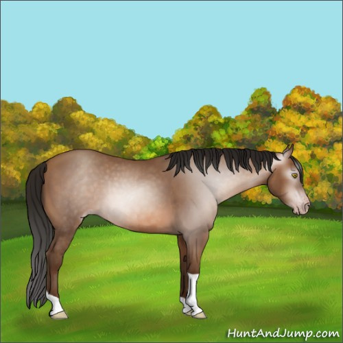 Horse Color:Gray Amber Champagne Tobiano 