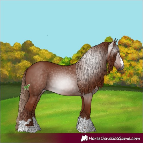 Horse Color:Gray Chestnut