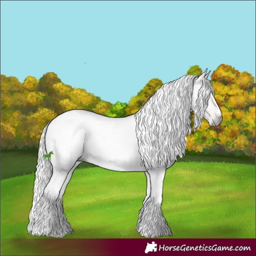 Horse Color:Gray Bay 