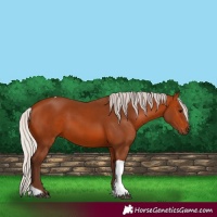 Horse Color:Silver Bay Tobiano