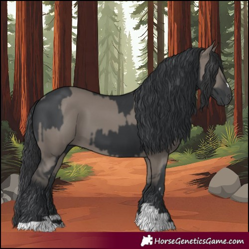 Horse Color:Black and Grullo