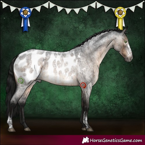 Horse Color:Gray Brown Roan Dun Sabino Appaloosa Rabicano Brindle 