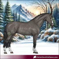 Horse Color:Grullo Rabicano 